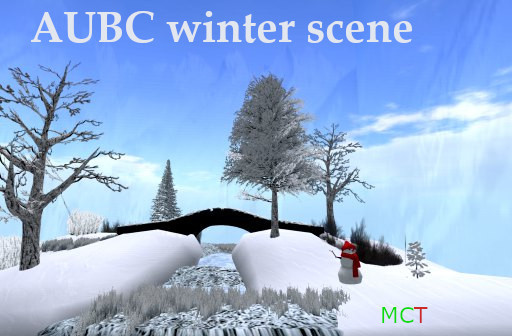 AUBC winter  scene// boxed