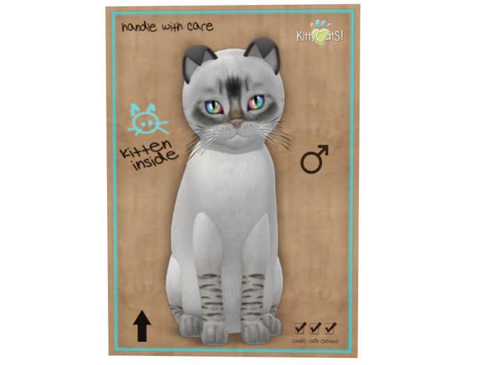 KittyCatS Box - 8 T - M - Balinese - Seal Lynx
