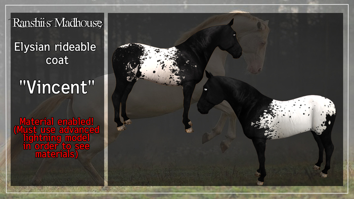 *RMH* Elysian coat "Vincent" - Boxed