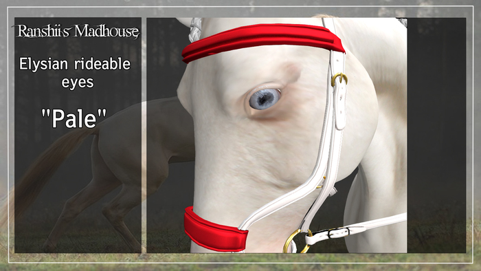 *RMH* Elysian Eyes "Pale" - Boxed