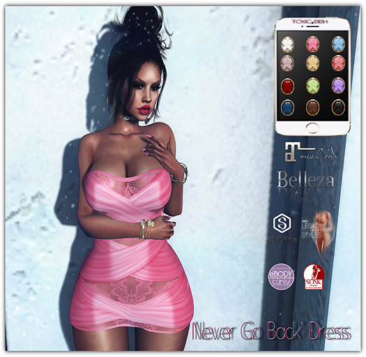 <Toxic Bish> 'Never Go Back' Dress @ HUD