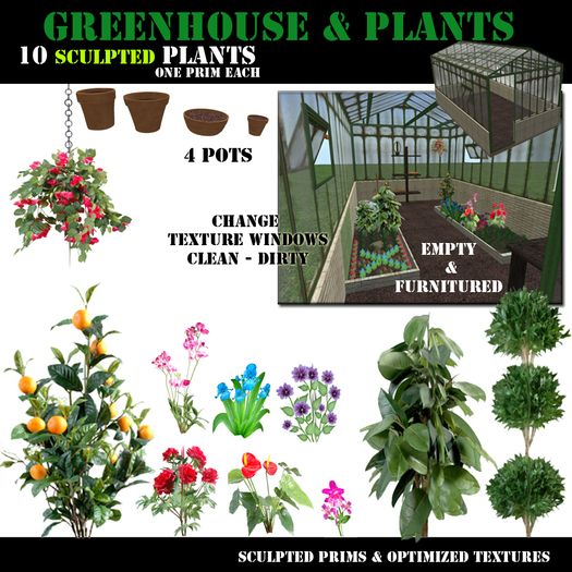 GREENHOUSE & PLANTS