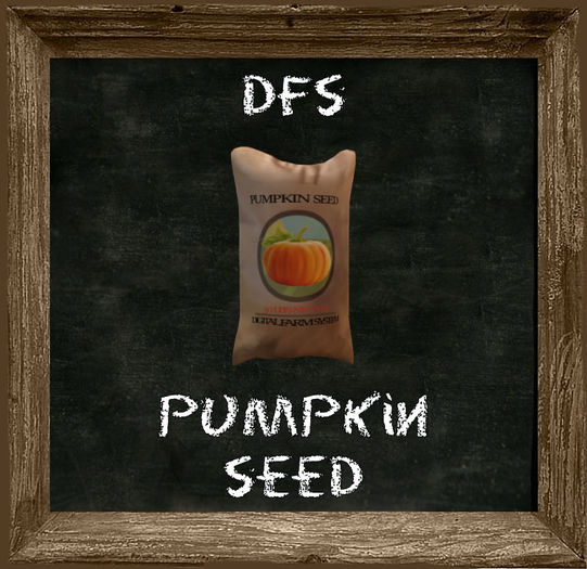 .:TD:. DFS Pumpkin Seed Texture