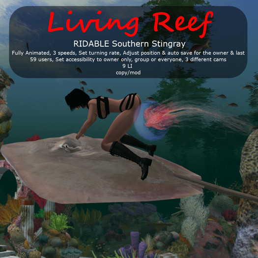 Inochi Reef - RIDABLE Southern Stingray