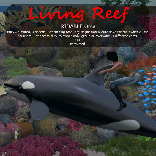 Inochi Reef - RIDABLE Orca