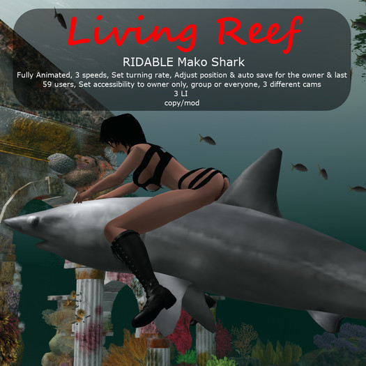 Inochi Reef - RIDABLE Mako Shark