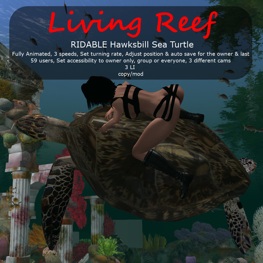 Inochi Reef - RIDABLE Hawksbill Sea Turtle