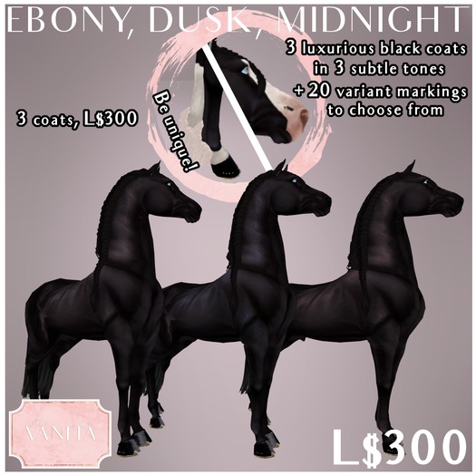 Tutto E Vanita Ebony, Dusk, Midnight Unpacker [wear]