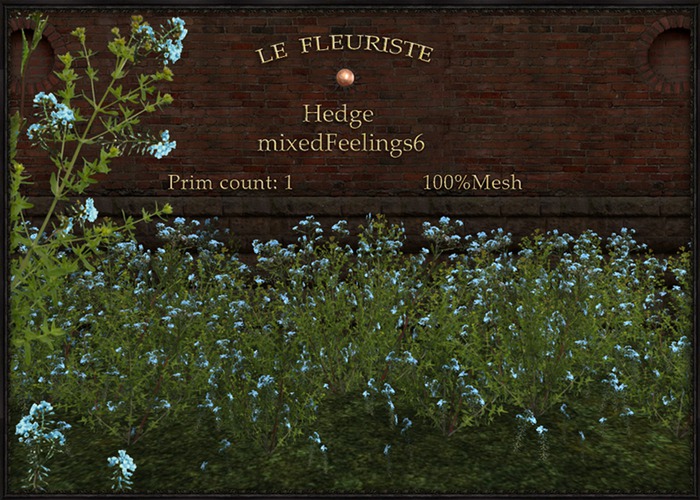 F*HEDGEmixedFeelings6