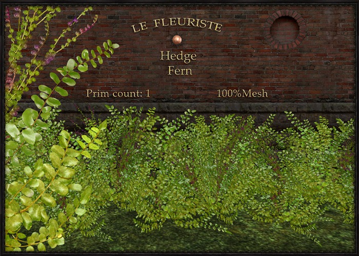 F*HEDGEfern