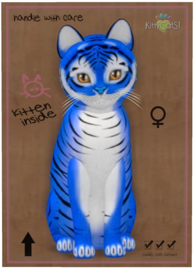 KittyCatS Box - Tiger! - Huckleberry