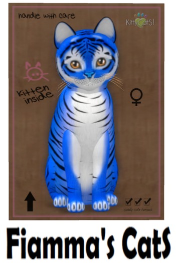 KittyCatS Box - Tiger! - Huckleberry