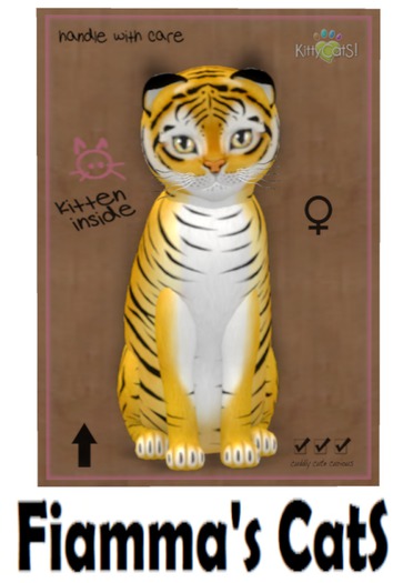 KittyCatS Box - Tiger! - Golden Ticket