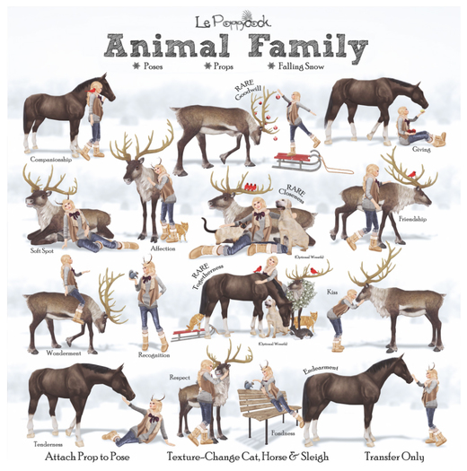 Le Poppycock *Animal Family* Recognition
