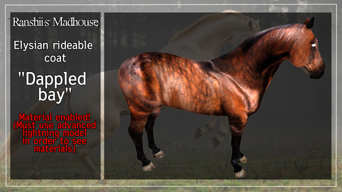*RMH* Elysian Coat "Dappled Bay" -  Boxed