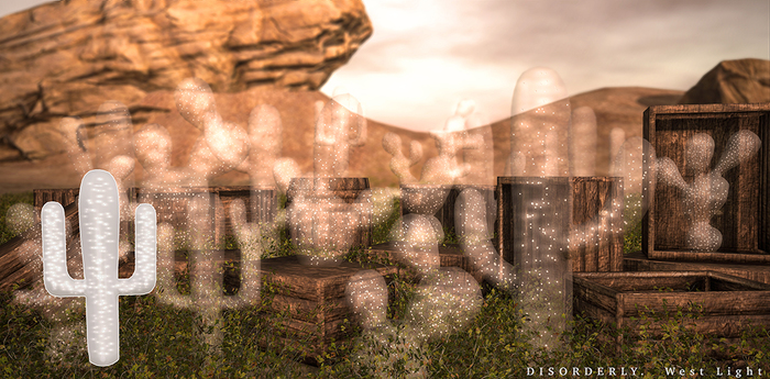 DISORDERLY. / West Light / Tall Cactus / 1