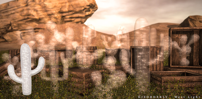 DISORDERLY. / West Light / Tall Cactus / 4