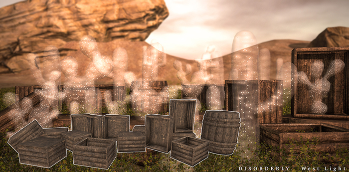 DISORDERLY. / West Light / Crate & Barrel Pack