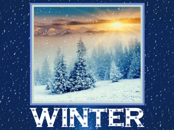 #1 STORE★ Winter - Animated Gif ★ Click: Watch In Action
