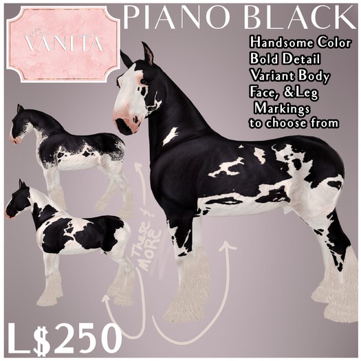 [WEAR] TEV PIANO BLACK VARIANT