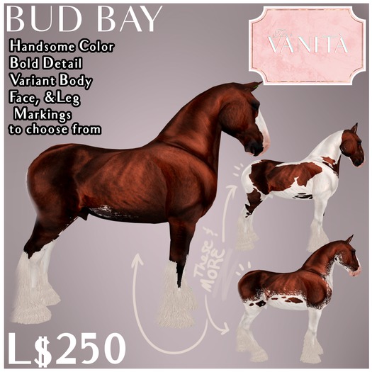 [WEAR] TEV Bud Bay VARIANT