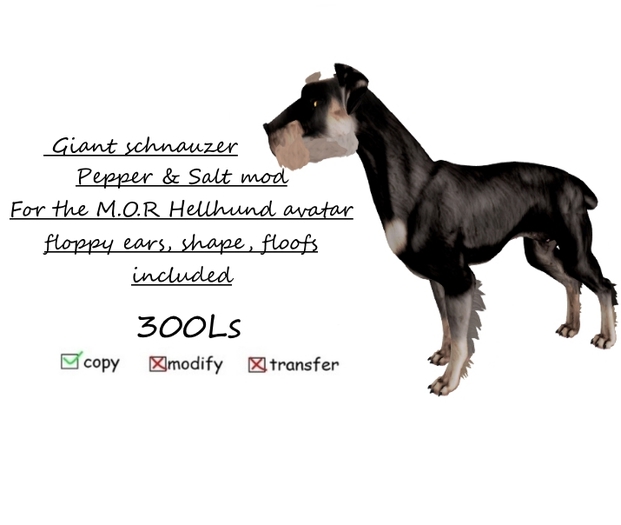Hellhund: Schnauzer pepper and salt Mod