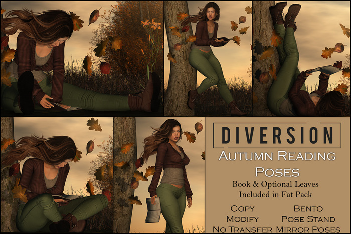 Diversion - Autumn Reading Poses // Bento