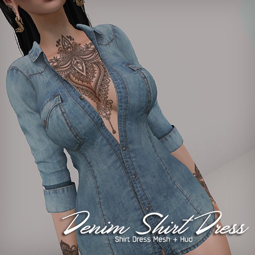 .E. Denim Shirt Dress