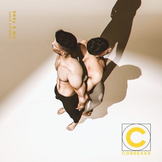 CORDEAUX || Bento Double Pack | December