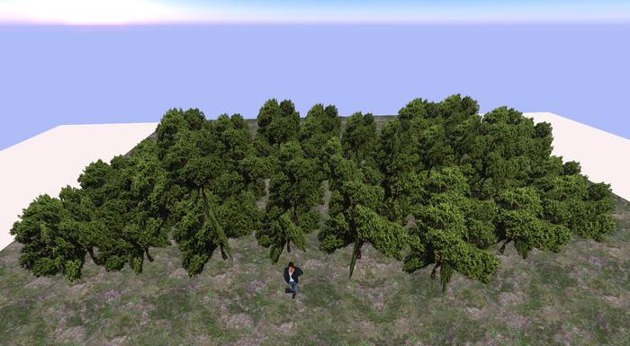 Mesh Clusters of Oak Trees - Multiple Styles - Low Prim - Copy Modify