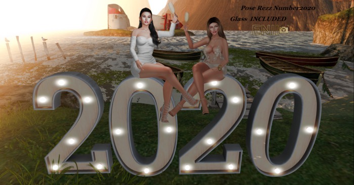 ENIIPose-Happy New Year#4