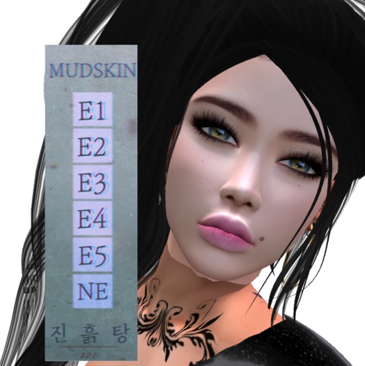 [ MUDSKIN ]_HyunA # TROUBLE MAKER I_104