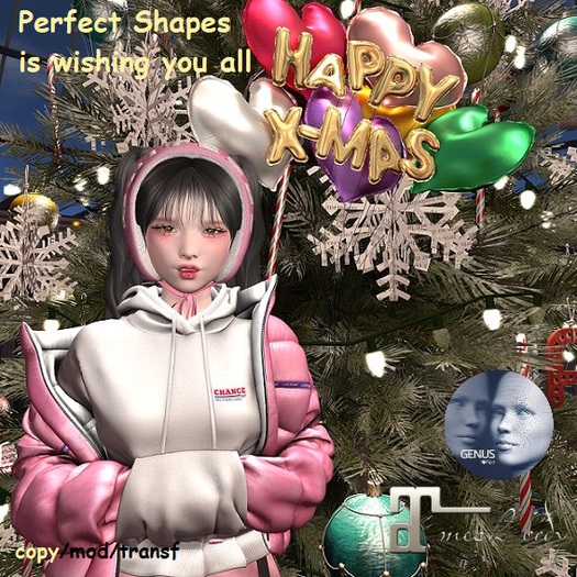 *PS* - Merry Xmas Girl Shape - For GENUS babyface BENTO head