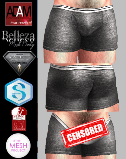 Gray Boxers - Normal & Exposed