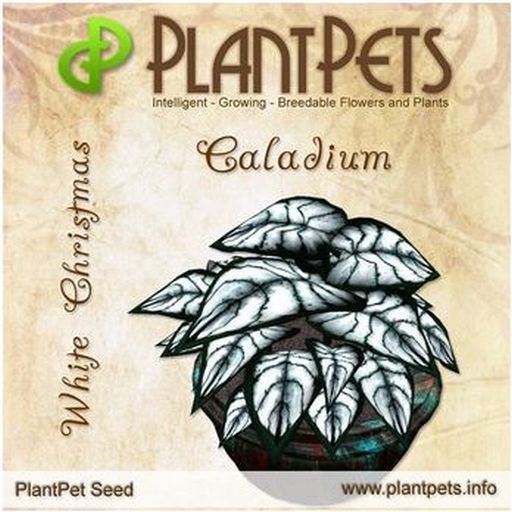 PlantPet Seed [Caladium *White Christmas*]