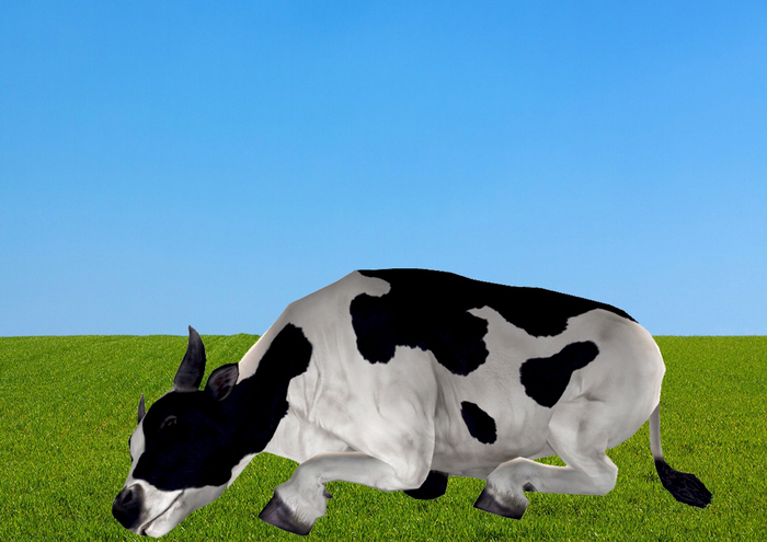 Cow Sleeping - Mesh