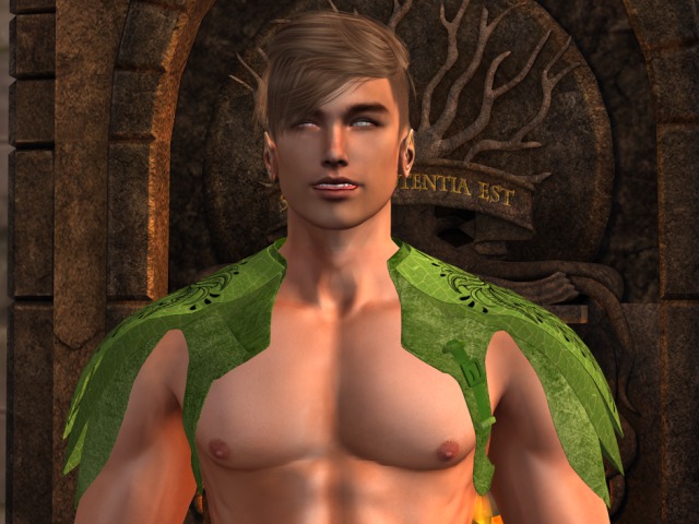 Mw- Signature Pauldron Leaf (add+touch)