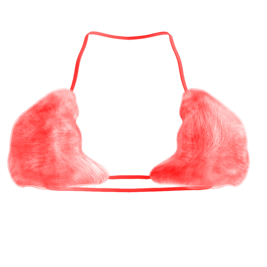 <BLONDS> The Fox Set Bra "CHERRY"