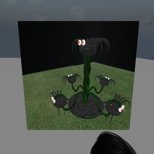 Boxed Spooky Spider Ride