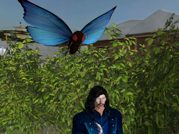Butterfly Pet Blue Winged
