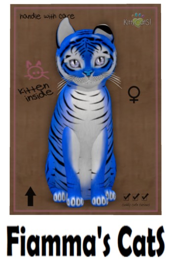 KittyCatS Box - Tiger! - Huckleberry