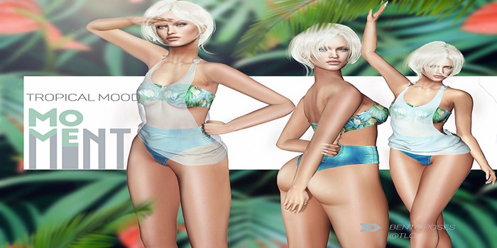 MOVEMENT - TROPICAL MOOD