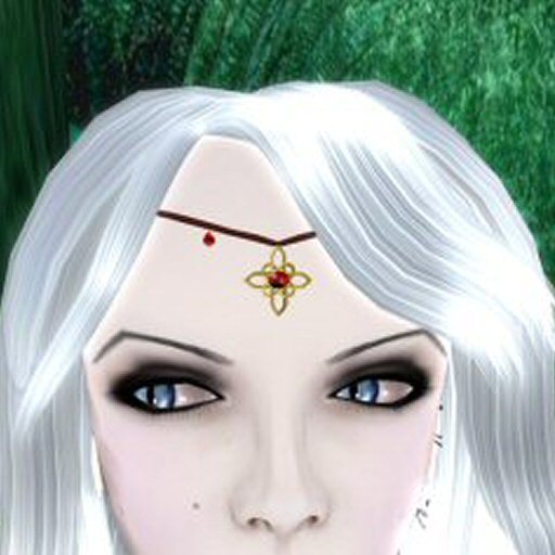 gold wood and ruby circlet