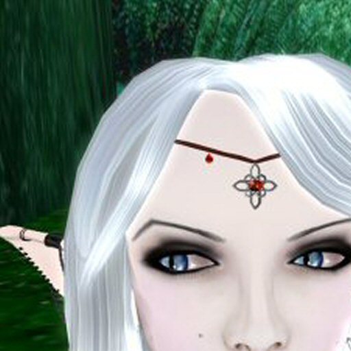 silver wood and ruby circlet