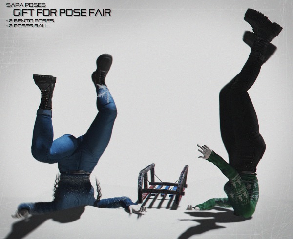 SAPA poses - gift