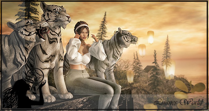 :LW: Bento Poses - In My Dreams