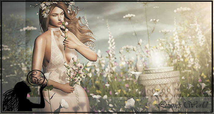 :LW: Bento Poses - For You