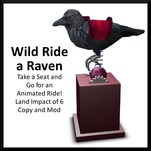 Wild Ride a Raven