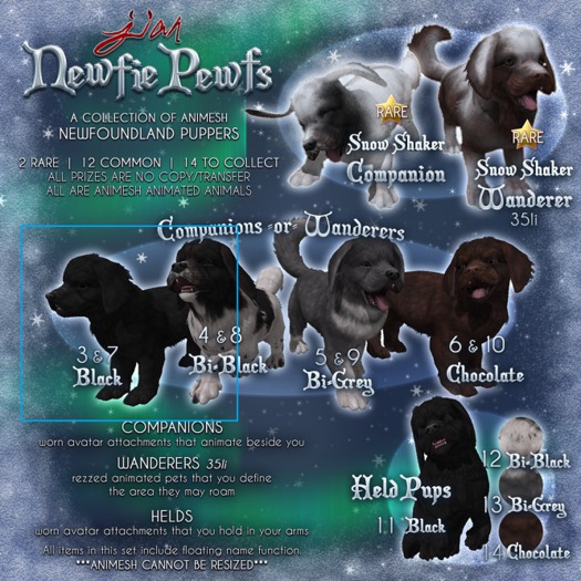 JIAN Newfie Pewfs 7. Black Wanderer BOX - Epiph