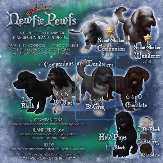 JIAN Newfie Pewfs 9. Bi-Grey Wanderer BOX - Epiph